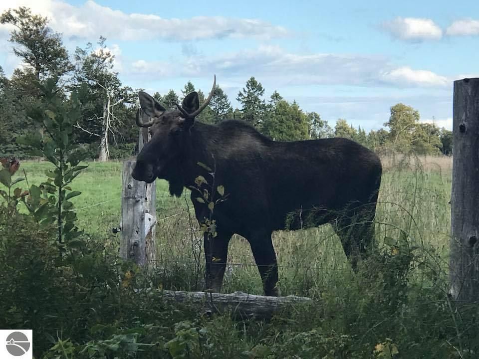 16086 Us Hwy 2, Cooks, MI 49817